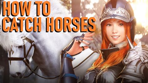 how to catch a wild horse in black desert